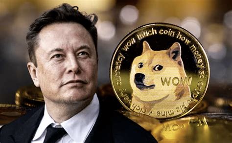 dogecoin gambling site|Tesla, Musk Dodge $258 Billion Dogecoin Lawsuit as Judge.